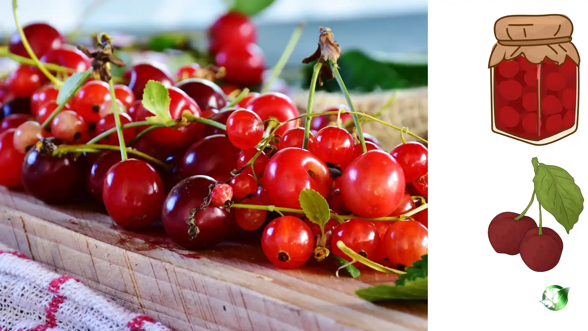 Commercial supplier evaluation for Pickled Sour Cherries should cover specification, packaging, trade documentation, logistics, and full delivered cost.
